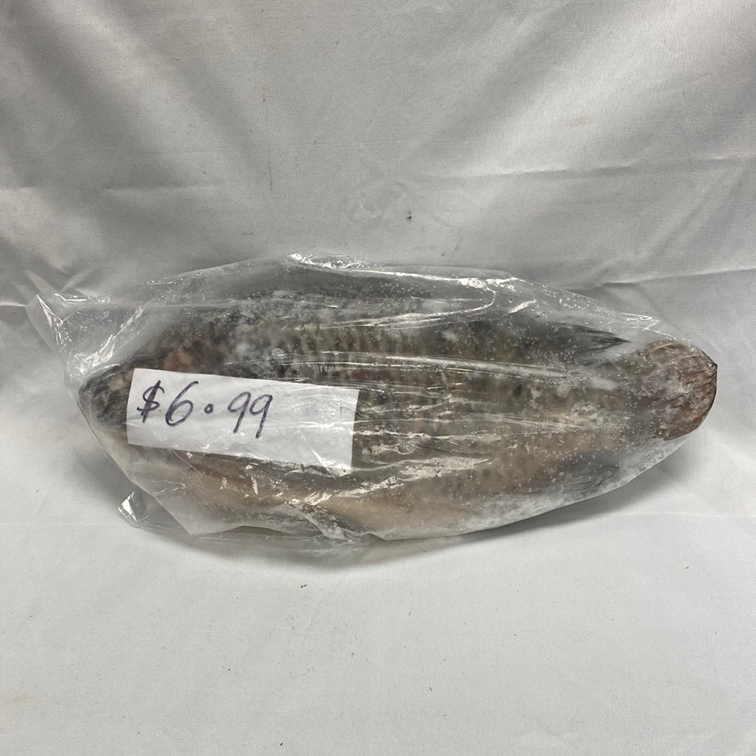 Cut / Whole Frozen Croaker (4.99--5.69/ Lb) - African Caribbean Seafood Market