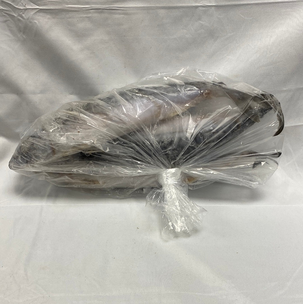Mackerel /Titus/Salmon Fish (Pay In-store) (per pound | 3-4 lbs) - African Caribbean Seafood Market
