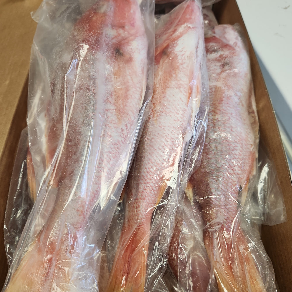 Red / Yellow Tail Snapper (perpound) - African Caribbean Seafood Market