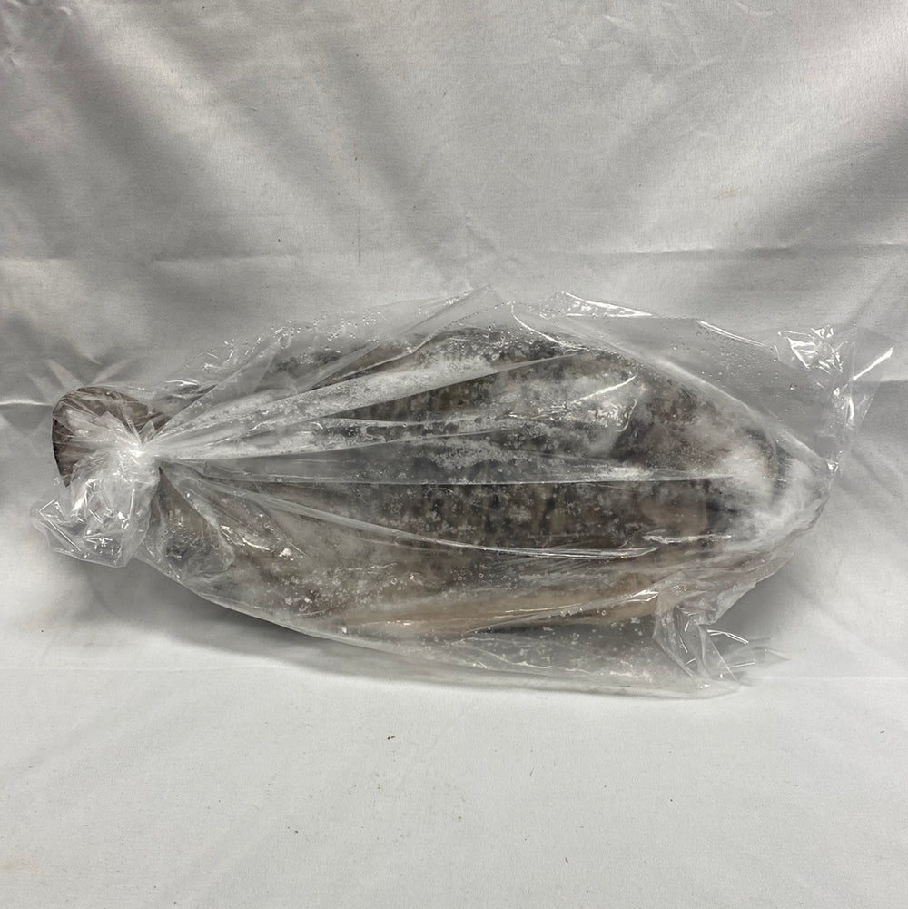 Cut / Whole Frozen Croaker (4.99--5.69/ Lb) - African Caribbean Seafood Market