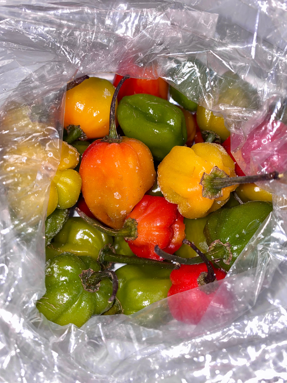 Frozen Pepper (Habanero, Scotch Bonnet, Ghost) - African Caribbean Seafood Market
